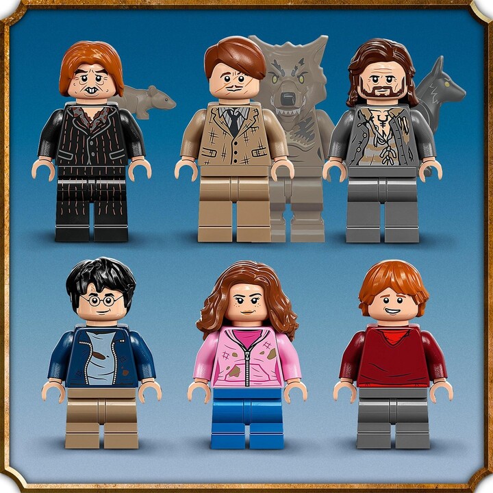Set LEGO® Harry Potter™ 76407 Crackling Hut and Thresher Willow
