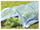 Mini-serë Greenmill 300 cm x 150 cm x 48 cm