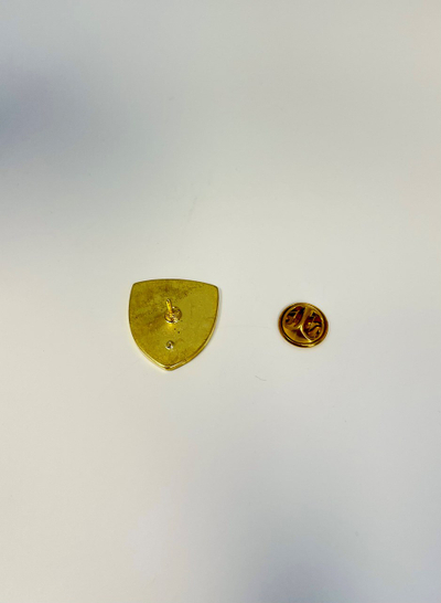 Pin Rezniqi – Stema e Kosovës, metalike e ngjyrosur me të kaltër