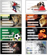 Ngjitëse për fletore Panta Plast, 24 copë Ngjitëse për fletore Panta Plast, 24 copë