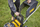 Kositëse bari Dewalt XR (DCMW564N) 2x18V