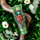 Xhel dushi Tesori D'Oriente Forest Ritual, 250 ml