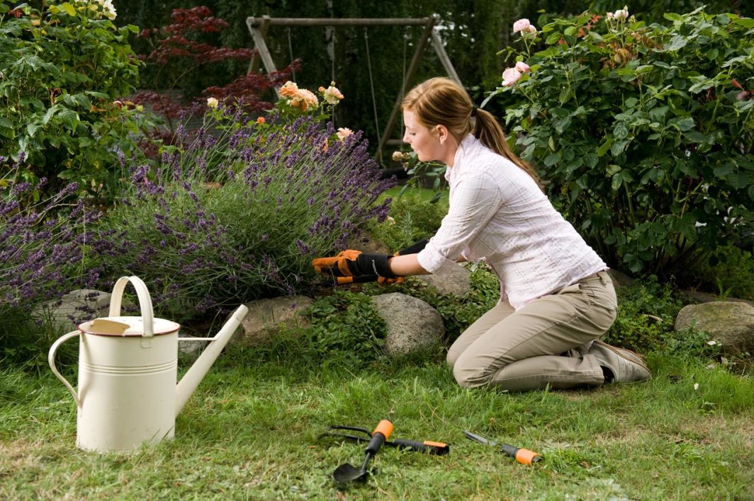Dorezë Fiskars QuikFit, 30 cm