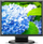 Monitor NEC MultiSync E172M (60005020), WLED, 17'', SXGA, i zi