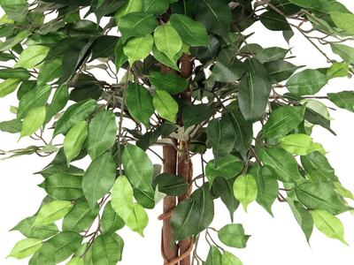 Lule artificiale Verde Decor Ficus Green Tree, 125cm