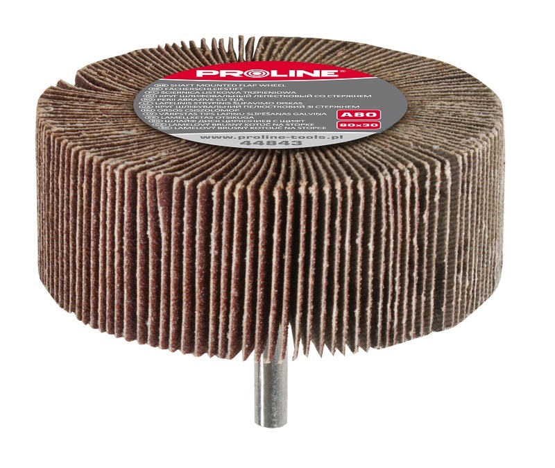 Disk lëmues Proline, 30 x 60 mm
