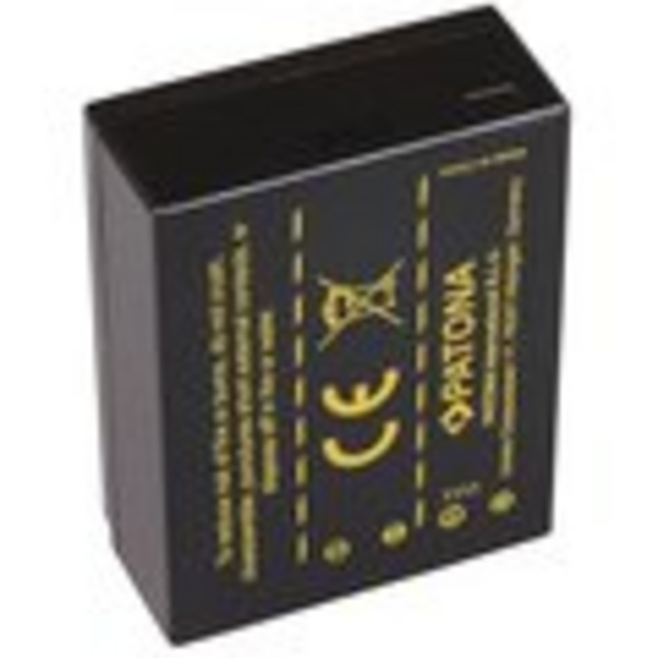 Bateri Paton për Fuji NP-W126 1020mAh