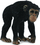 Figurinë shimpaze femër Collecta (004-88493)