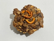 Biskotë Gambini Mix, 1 copë Biskotë Gambini Mix, 1 copë