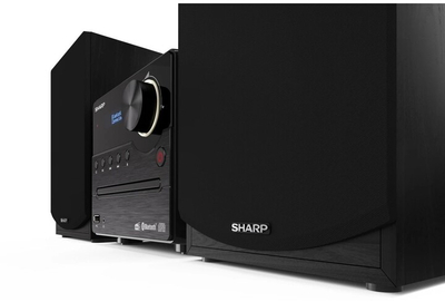 Mikrosistem Sharp XL-B517, i zi