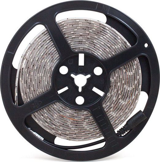 Shirit drite Abilite LED, 5 m, 4.8 W, i gjelbër