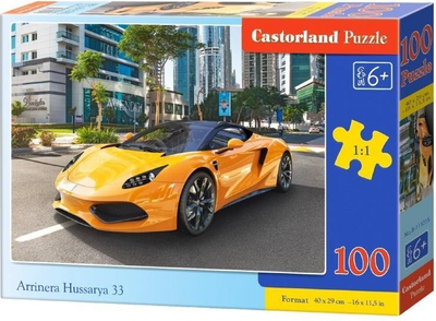 Puzzle Castorland Arrinera Hussarya, 100 elemente