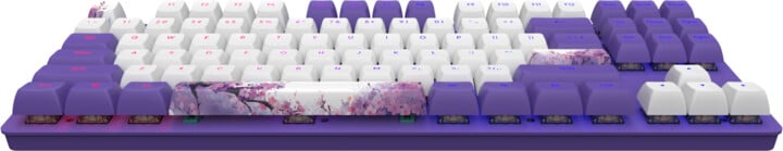 Тастатура Dark Project 87 Violet Horizons, Dark Project G3MS, Violet Horizons
