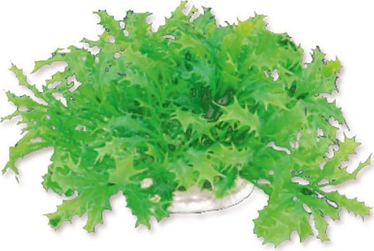Bimë artificiale për akuarium Happet, 10cm/1F22