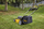 Kositëse bari Dewalt XR (DCMW564N) 2x18V