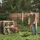 Prerës bari Black + Decker [STC1840EPC] 30cm, 18V Li-Ion, 1x4,0Ah