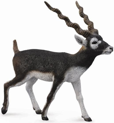 Figurë Collecta - Antilopë Blackbuck