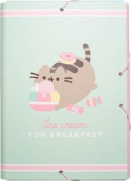 Dosje Pusheen, e gjelbër/rozë