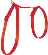 Parzmore najloni për mace Zolux, 10 mm, e kuqe Parzmore najloni për mace Zolux, 10 mm, e kuqe