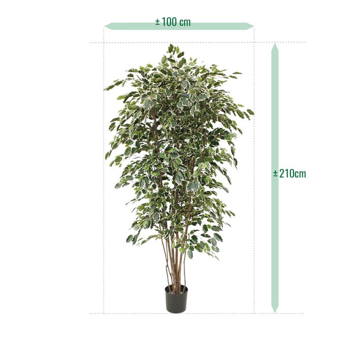 Lule artificiale Verde Decor Ficus Variegate Tree, 180 cm