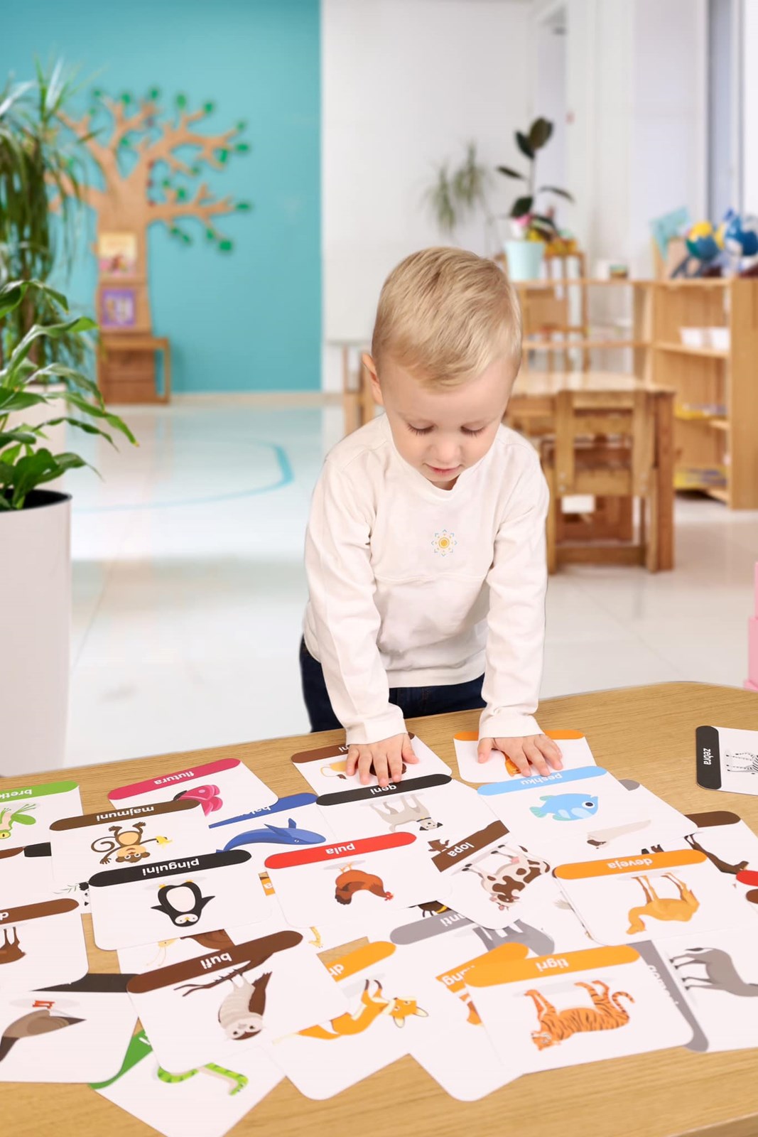 Karta edukative Fletëza, 6 në 1, 180 copë