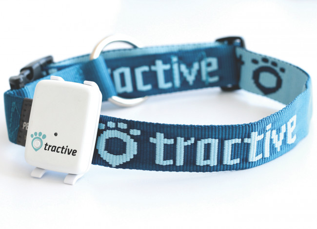 GPS Tractive për kafshë shtëpiake